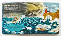 Usborne Look Inside Wild Weather (Flap Book)
