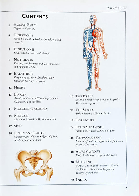 The Human Body