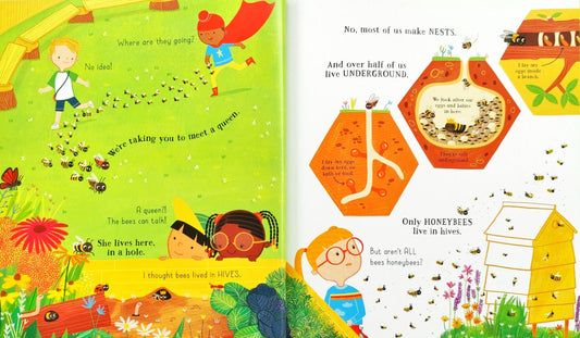 Usborne Can We Really Help the Bees?
