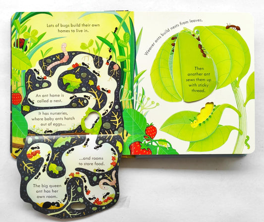 Usborne Peep inside Bugs Home (Flap Book)
