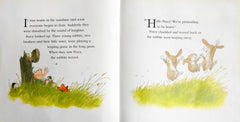Nick Butterworth Combo Set (2 Books)