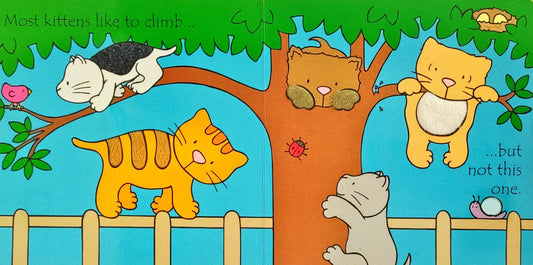 Usborne Kittens (Touch And Feel)