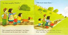 Usborne Poppy and Sam Combo (6 books)