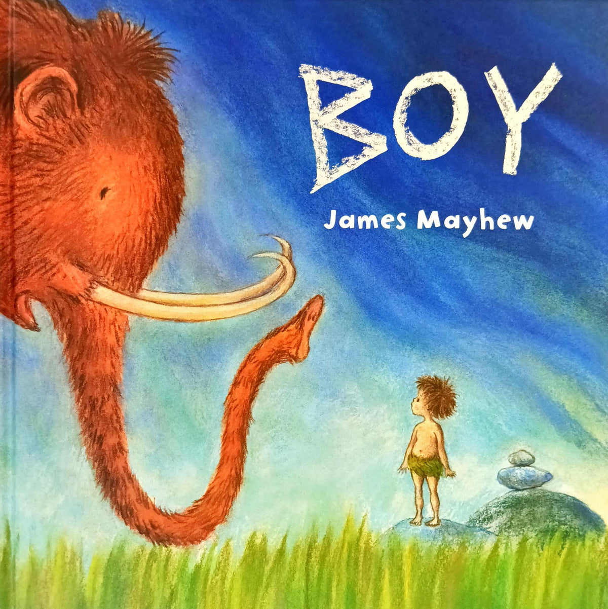 Boy