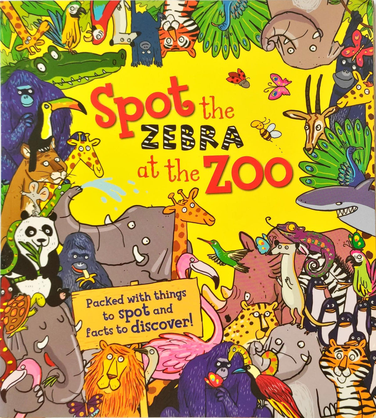 Spot the Zebra at the Zoo