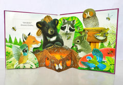 An Adventure with Bobby Bear (Popup Book)