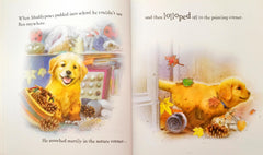 Muddypaws goes to School