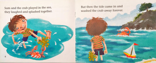 Big Cat Combo Set 6 (3 Books)