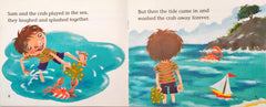 Big Cat Combo Set 6 (3 Books)