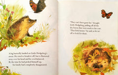 The Prickly Hedgehog