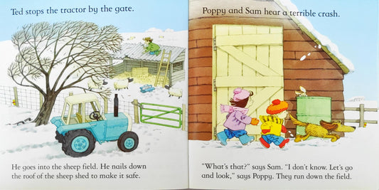 Usborne Farmyard Tales Combo 20 (4 Books)