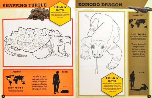 Reptiles & Amphibians (Colouring Book)