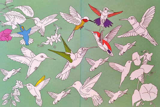 Animal Kingdom Doodle Book