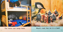 Bug Phonics Combo 3 (5 Books)