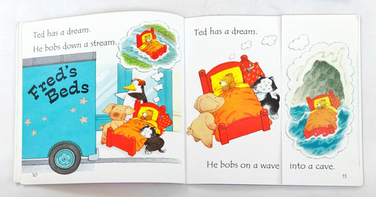 Usborne Phonics Reader Combo Set 40 (5 Books)