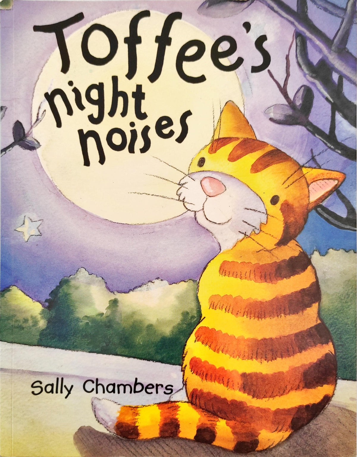 Toffee's Night Noises