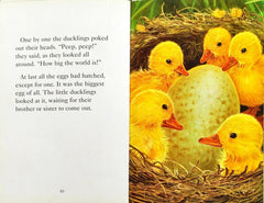 The Ugly Duckling