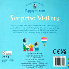 Usborne Surprise Visitors (Poppy and Sam)