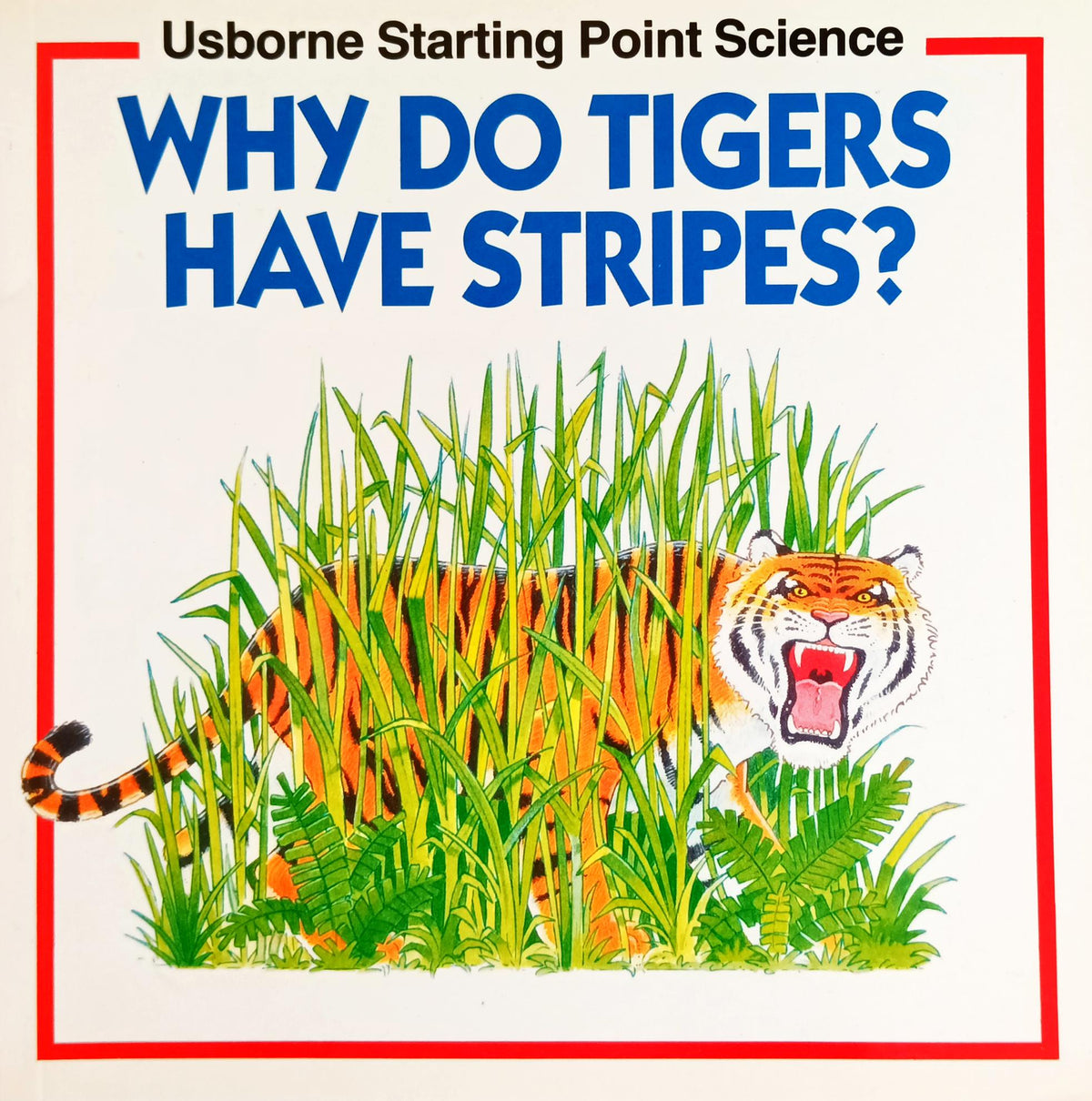 Why do tigers have stripes?  (Usborne Pocket Science)