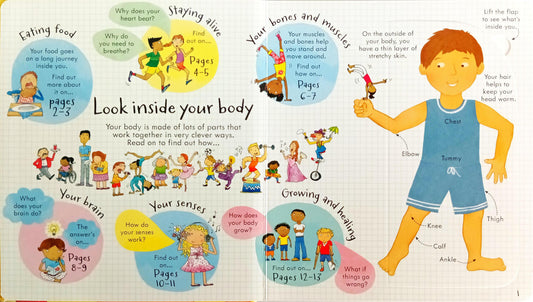 Usborne Lift the Flap Look Inside Your Body