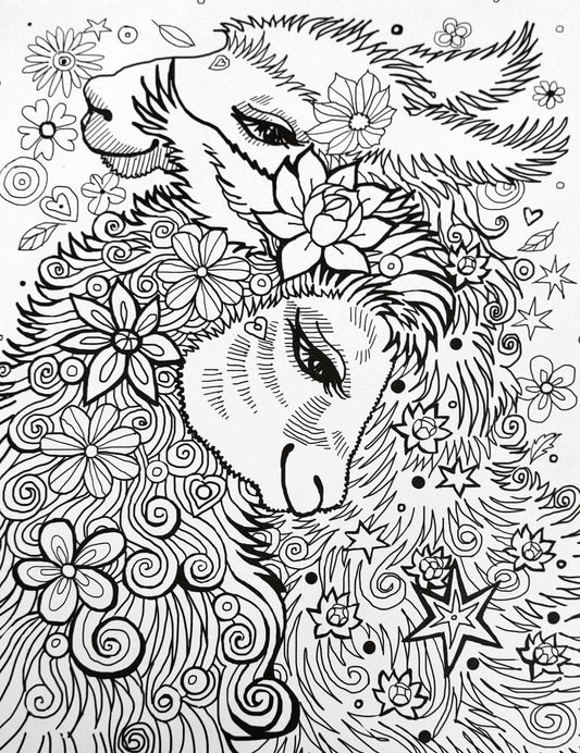 Colouring llamas and More