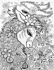Colouring llamas and More