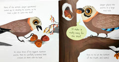 Miles Kelly Combo Set 8 (2 Books)