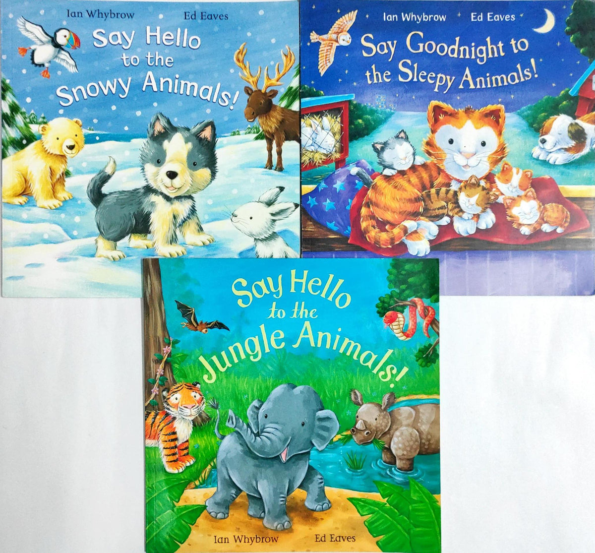 Storybook Combo Set 53 (3 Books)