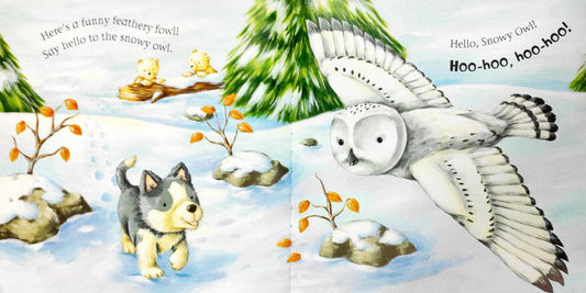 Storybook Combo Set 53 (3 Books)