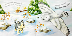Storybook Combo Set 53 (3 Books)