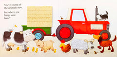 Usborne Animals Hide and Seek   (Touch and Feel)
