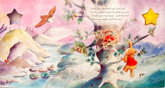 Wish Upon a Star (Light Book)