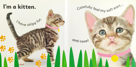 Really Feely Baby Animals