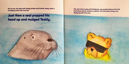 The Adventure of Sea Teddy!