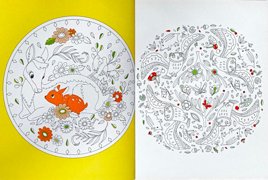 Mandala Secret Garden (Colouring Book)