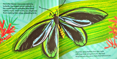 Lifesize Creepy Crawlies