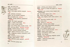 A First Thesaurus