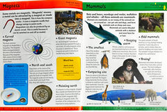 A to Z Encyclopedia