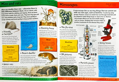 A to Z Encyclopedia