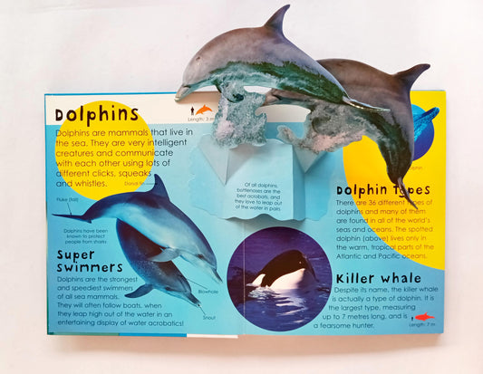 Ocean Picture Pops
