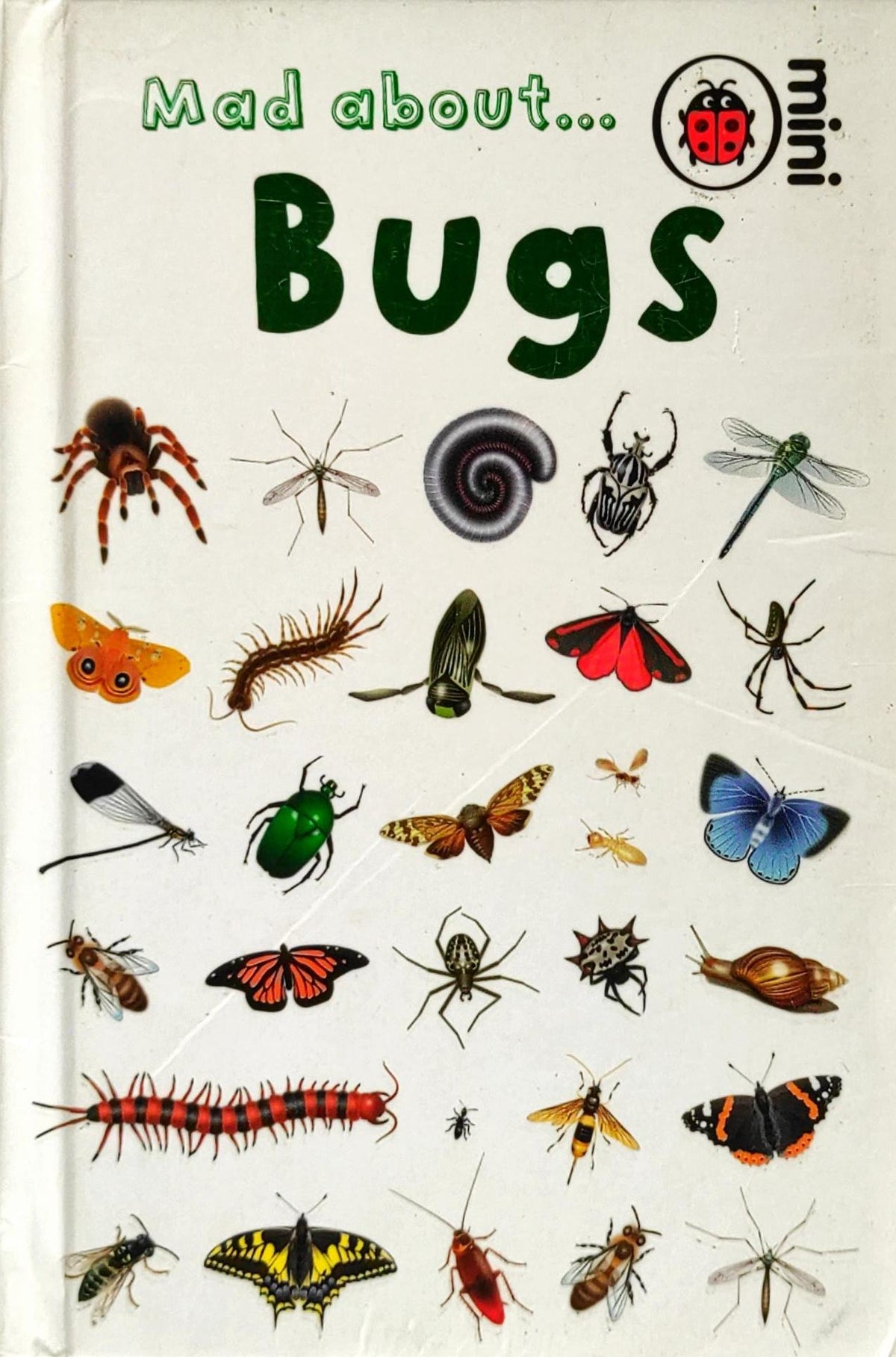 Mad about Bugs