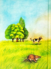 Rumbles and Tumbles go to the Country