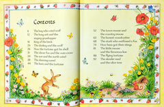 Usborne Aesop's Fables (15 Stories in 1)