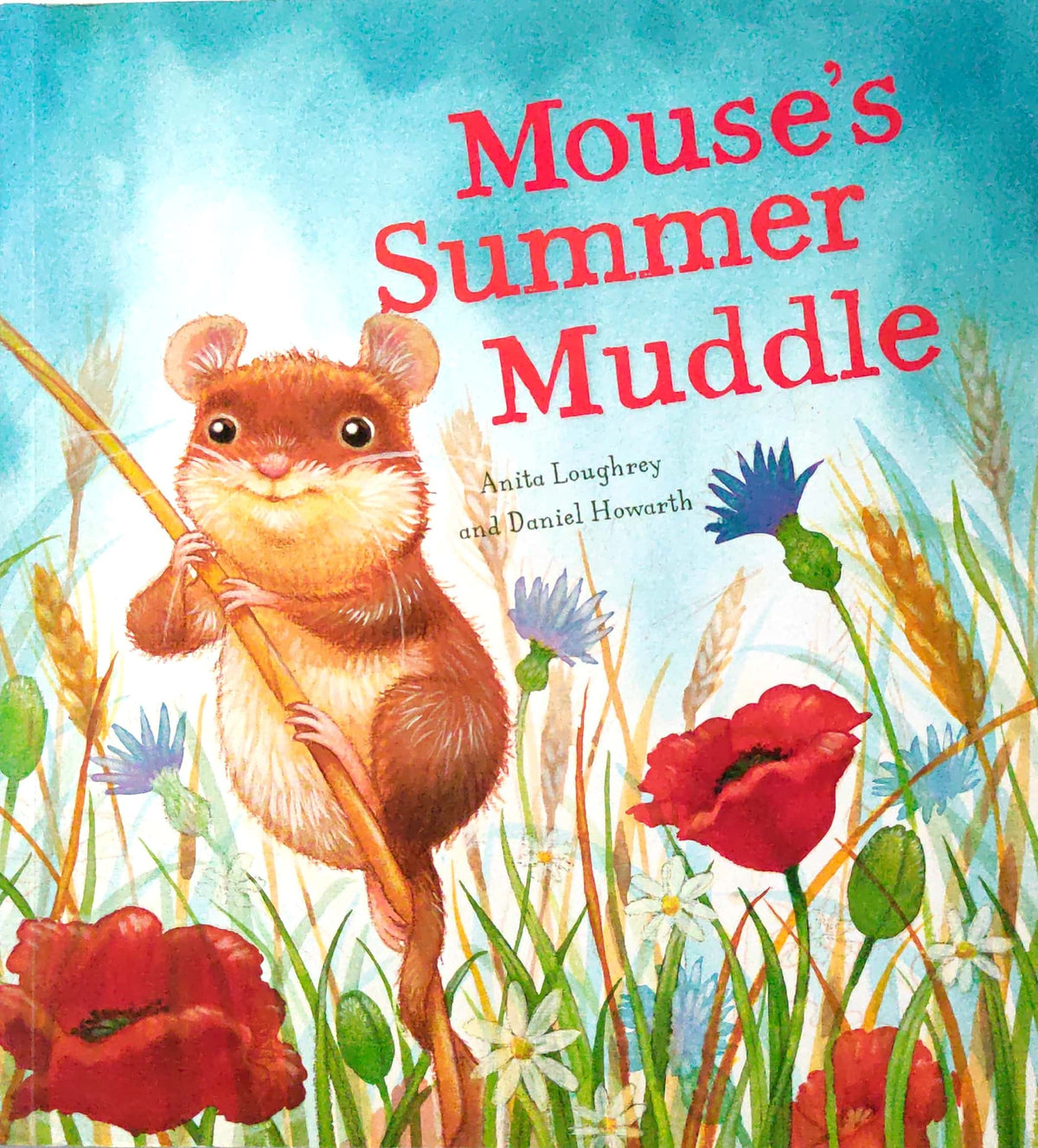 Mouses Summer Muddle