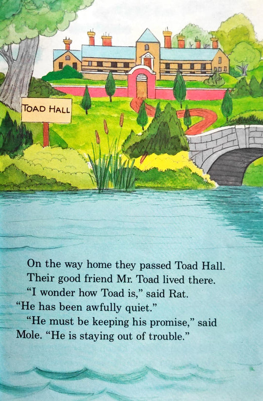 Disney The New Adventure of Mr Toad (Wonderful World of Reading)
