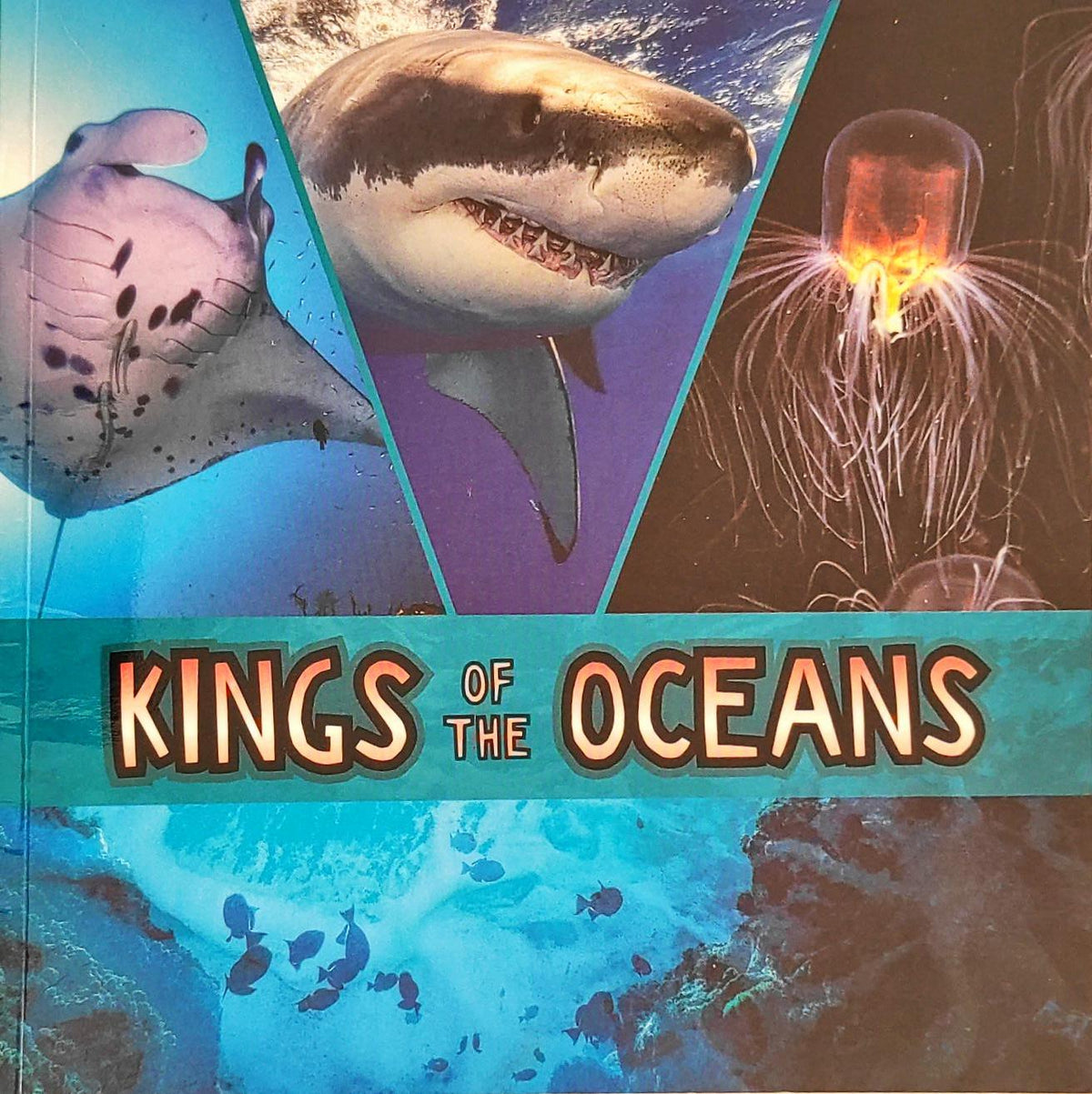 Kings of the Oceans