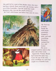 Beatrix Potter Stories for Bedtime
