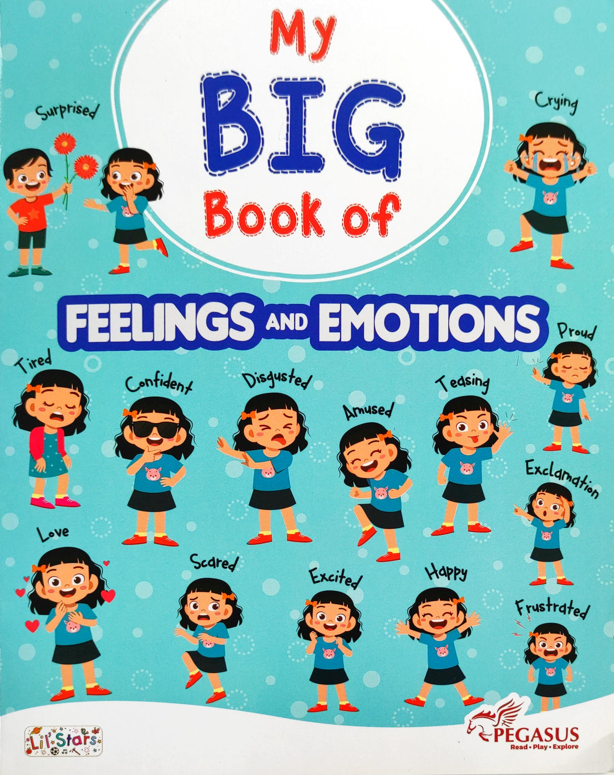 My Big Book of Feelings and Emotions
