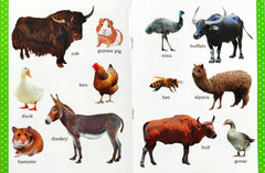 My First Picture Book of Animals