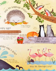 Usborne Question and answer about Animals